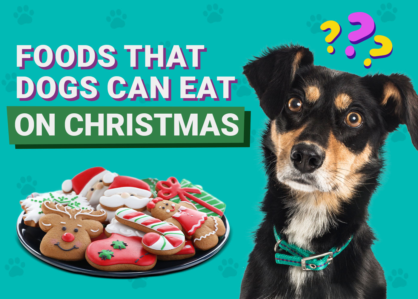 10 Vet-Verified Foods That Dogs Can Eat on Christmas (With Pictures)