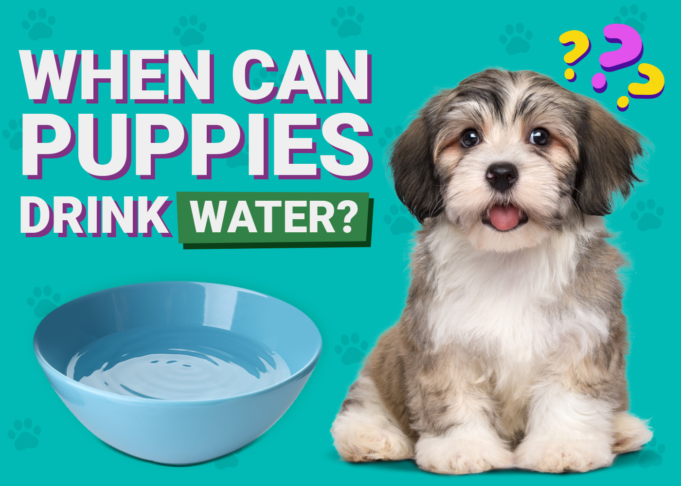 When Can Puppies Drink Water? Vet-Verified Development Facts & Care Tips