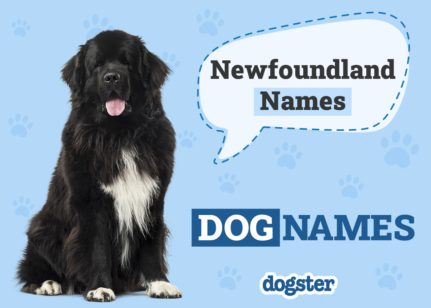 250+ Popular & Unique Newfoundland Names