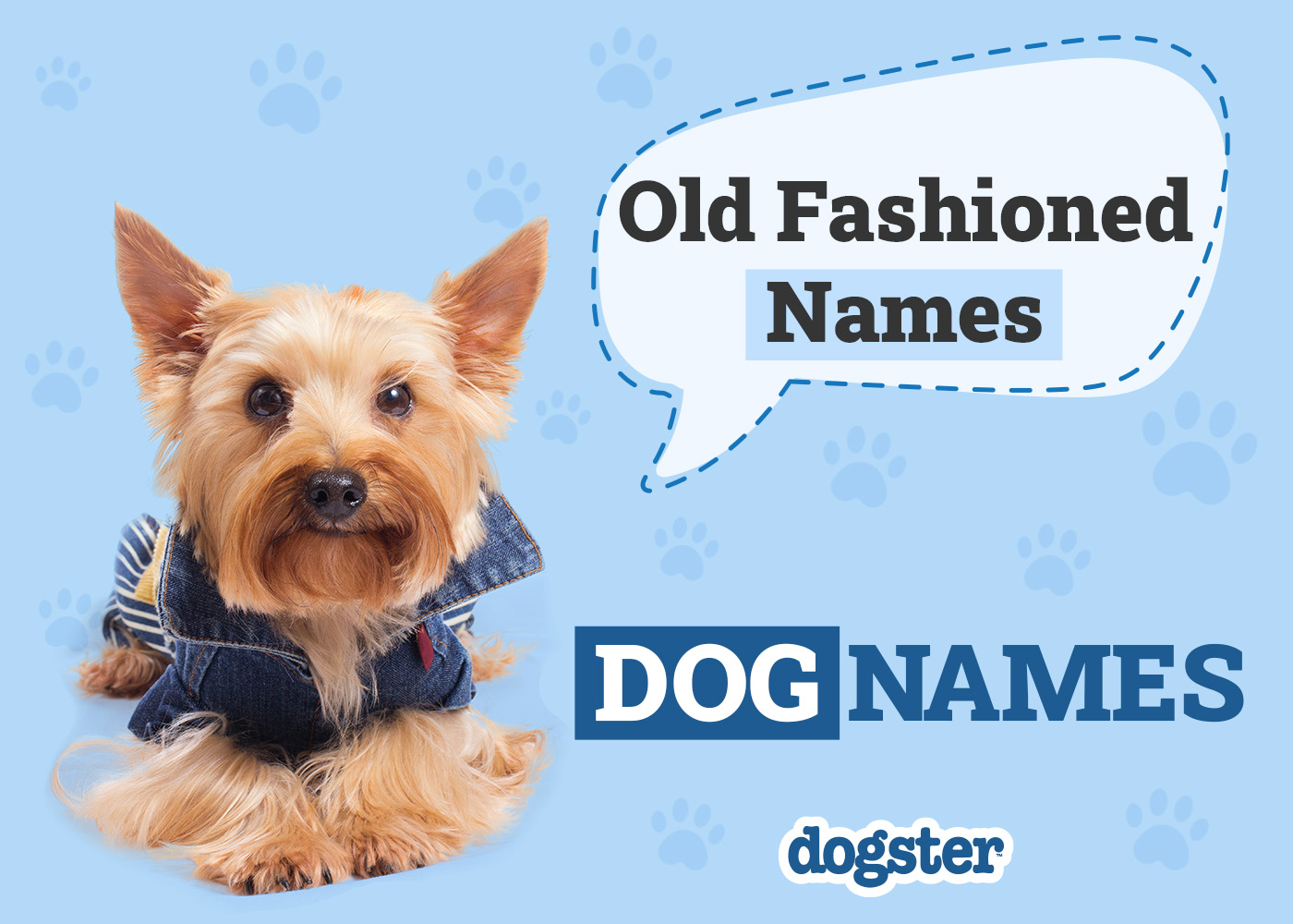 100+ Old Fashioned Dog Names: Vintage Options for Your Pup