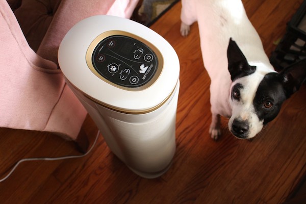 Homedics Air Purifier Review for Dog Odor in 2026: Pros, Cons, Verdict