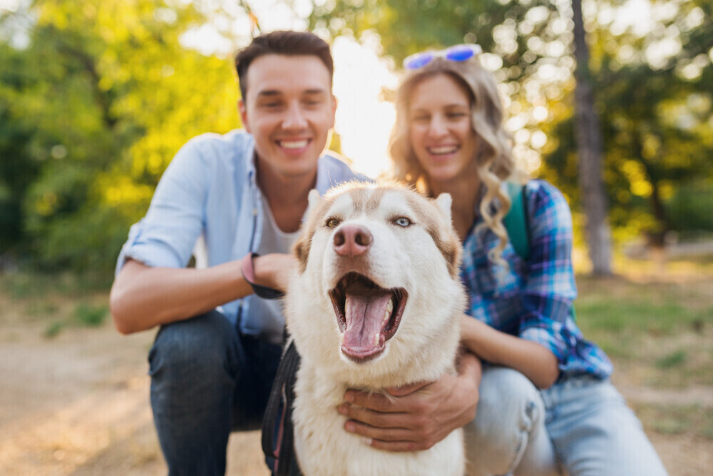 Who Gets the Dog in a Breakup? 5 Tips for Protecting Your Pup During a Split
