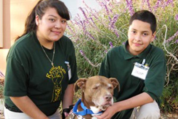 Oakland TLC Program Teaches At-Risk Kids Empathy Toward Animals