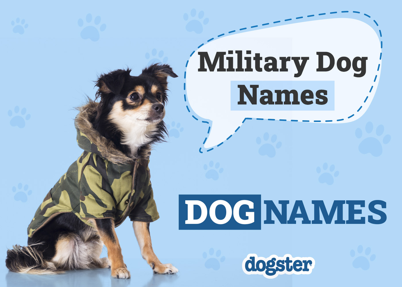 124 Military Dog Names: Popular Choices for Tough Canines