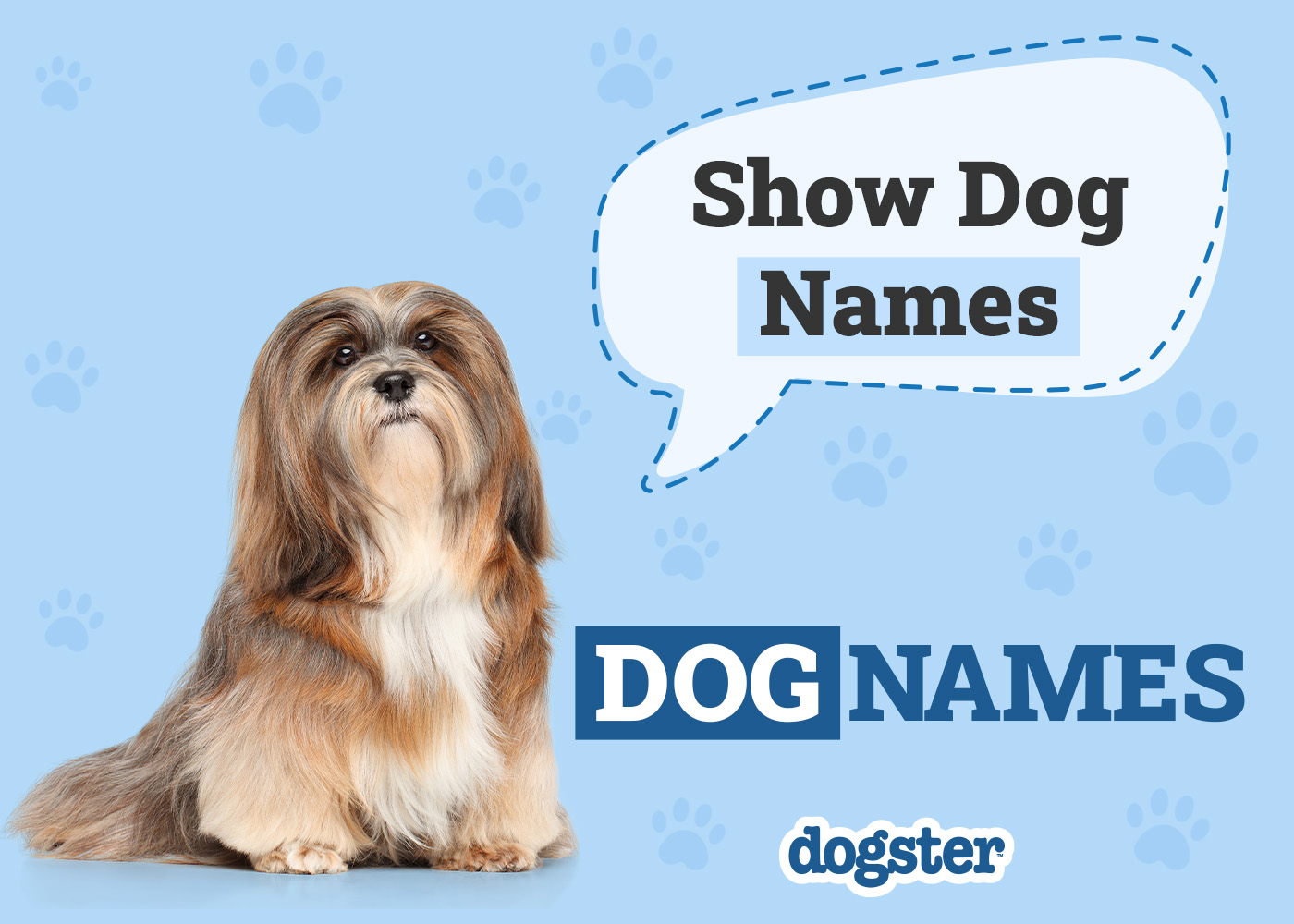 Show Dog Names: From Fancy to Bizzare