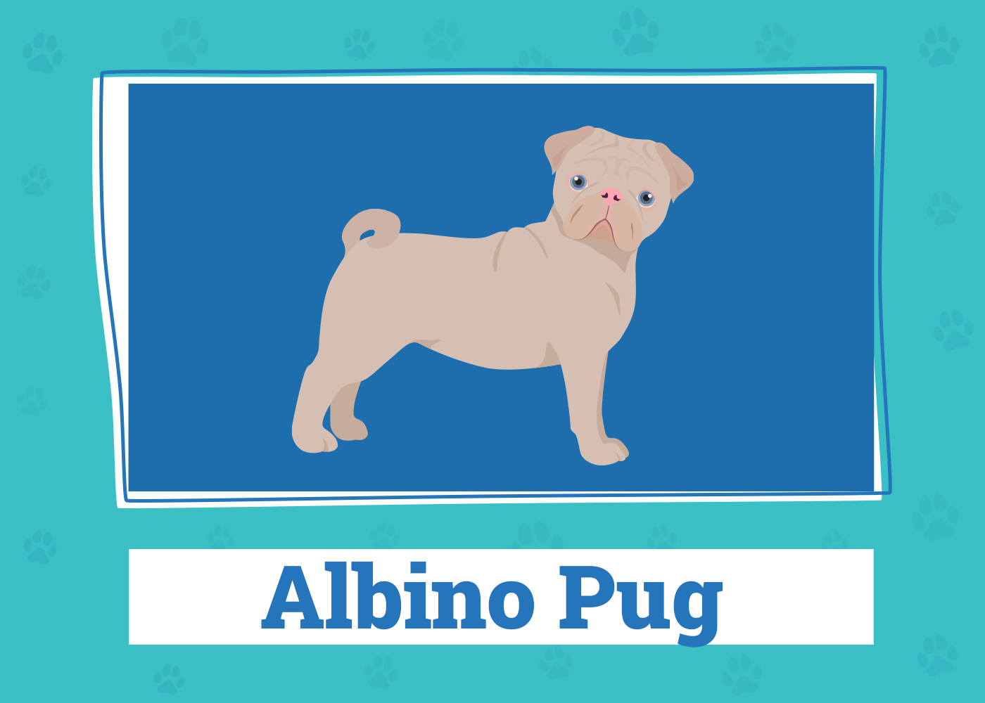 albino or leucistic pub custom image