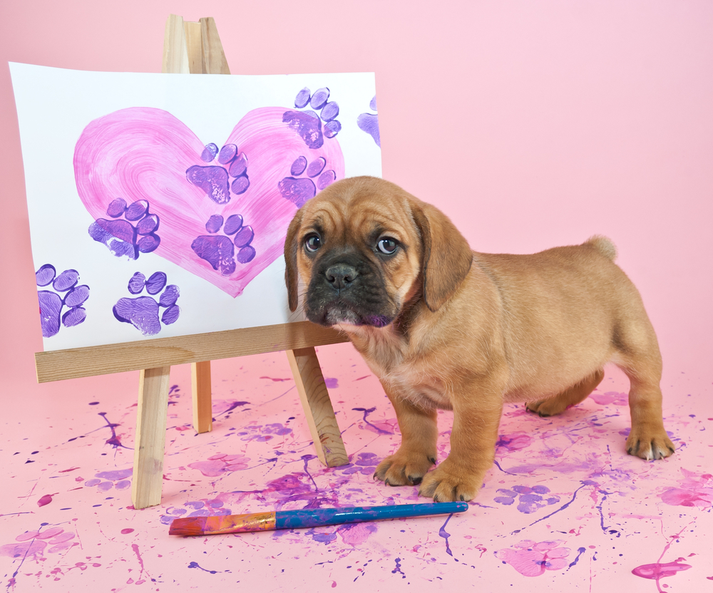 How to Teach Your Dog to Paint: A Vet-Approved Step-by-Step Guide