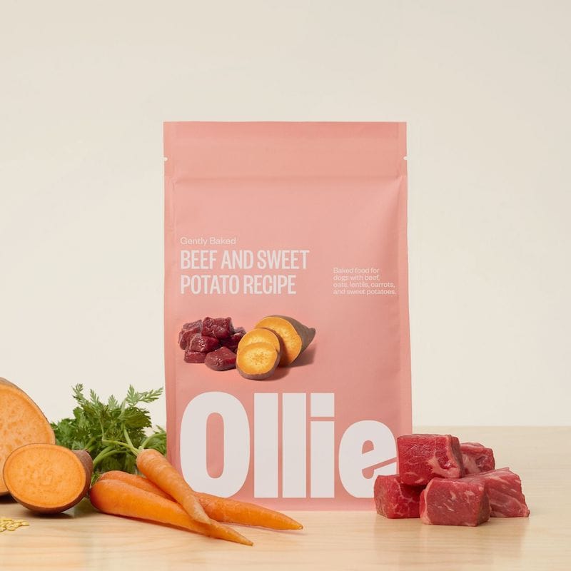 Ollie dog food