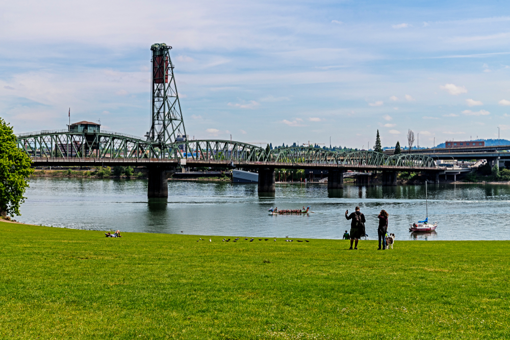 Dogs playing near the Hawthorne Bridge Portland Oregon USA