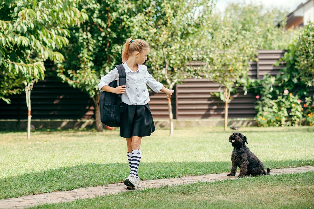 How to Prepare Dogs for Back-to-School Season: 5 Vet Approved Tips & FAQ