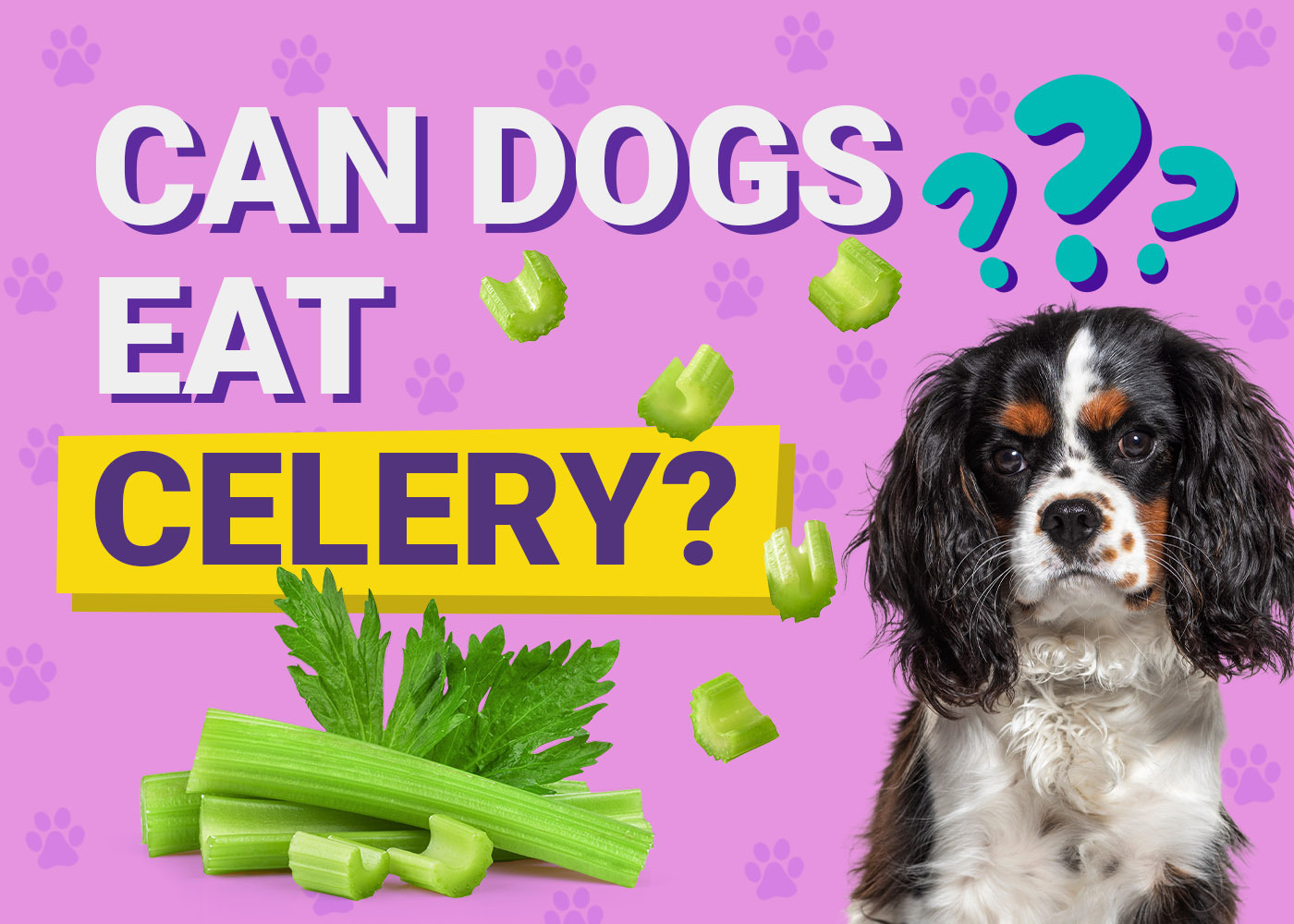 Can Dogs Eat Celery? Vet-Approved Feeding Facts & FAQ