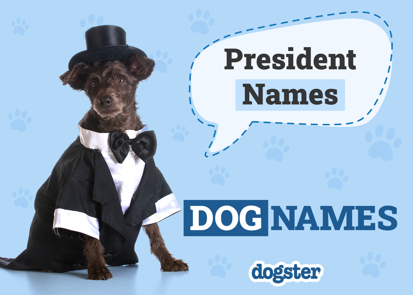 28 President Dog Names: All the Famous Presidents’ Pups