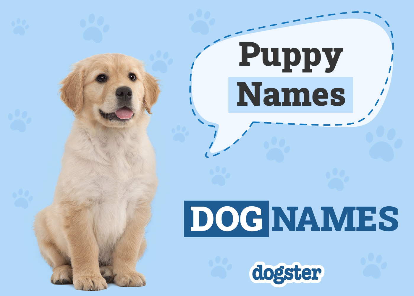 150+ Puppy Names: Cute and Popular Ideas — Dogster