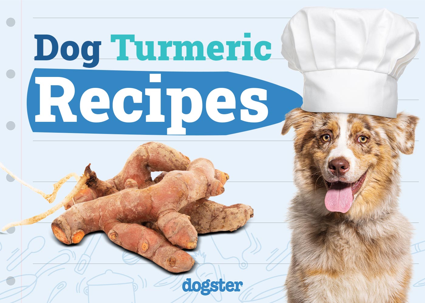 4 Turmeric Recipes for Dogs - Quick, Safe & Healthy (Vet Approved)