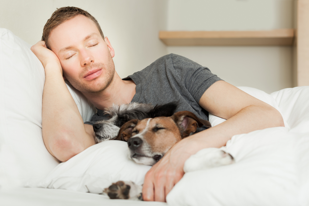 Why Does My Dog Sleep With Me? 5 Usual Reasons & Vet-Verified Considerations