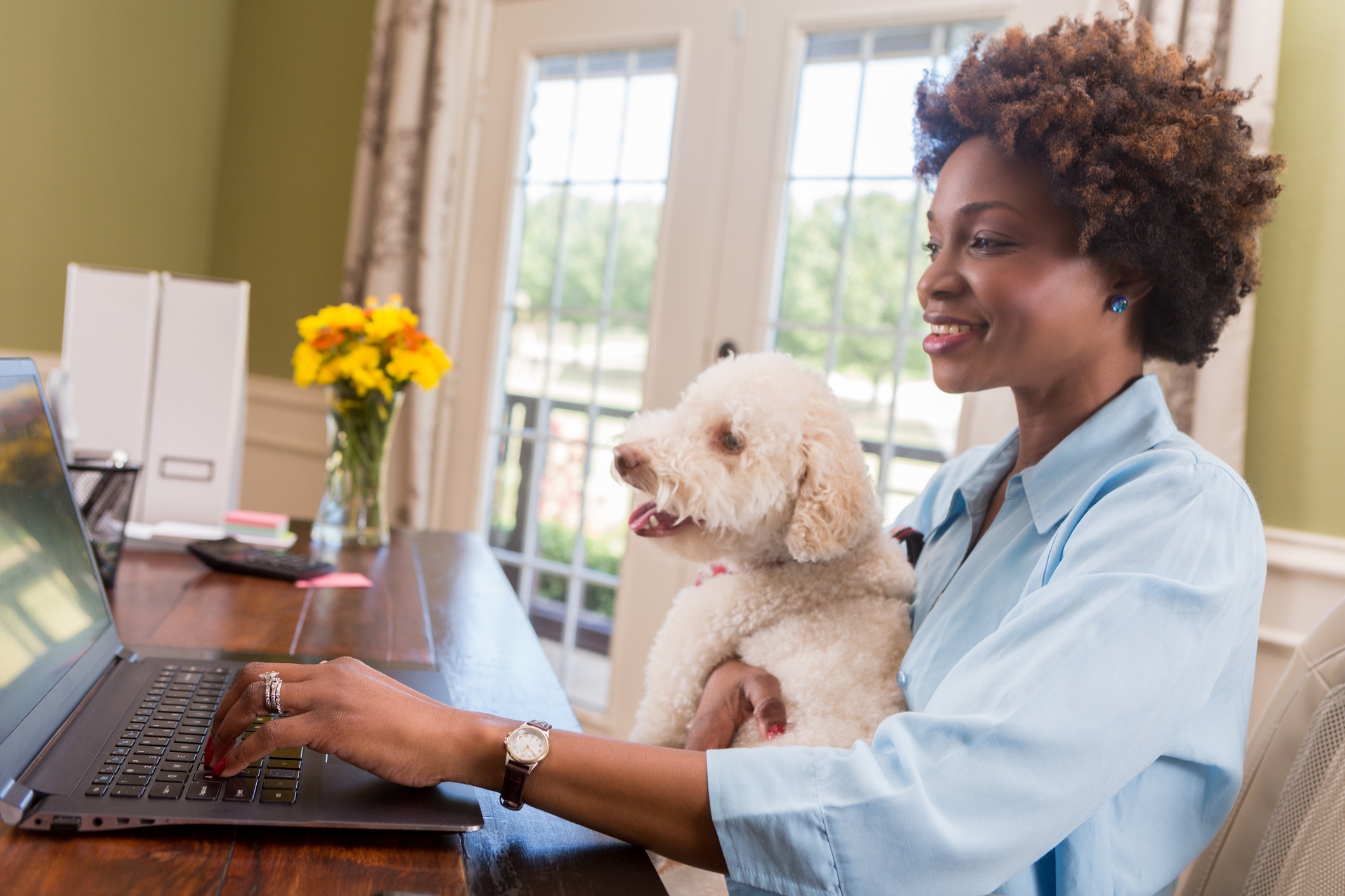 National Dogs in Politics Day 2026: When It Is & How to Celebrate