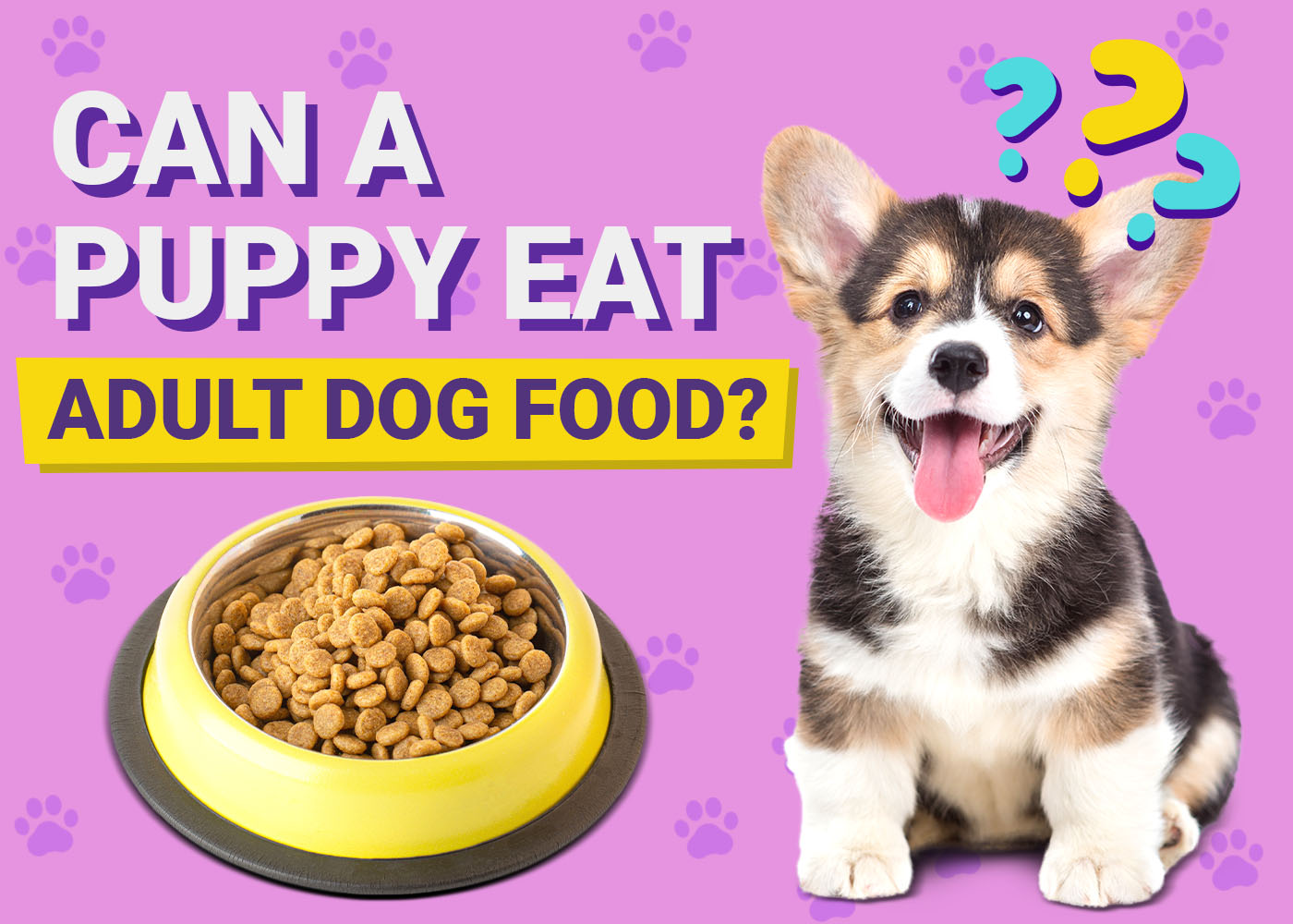 Why diet matters for growing puppies
