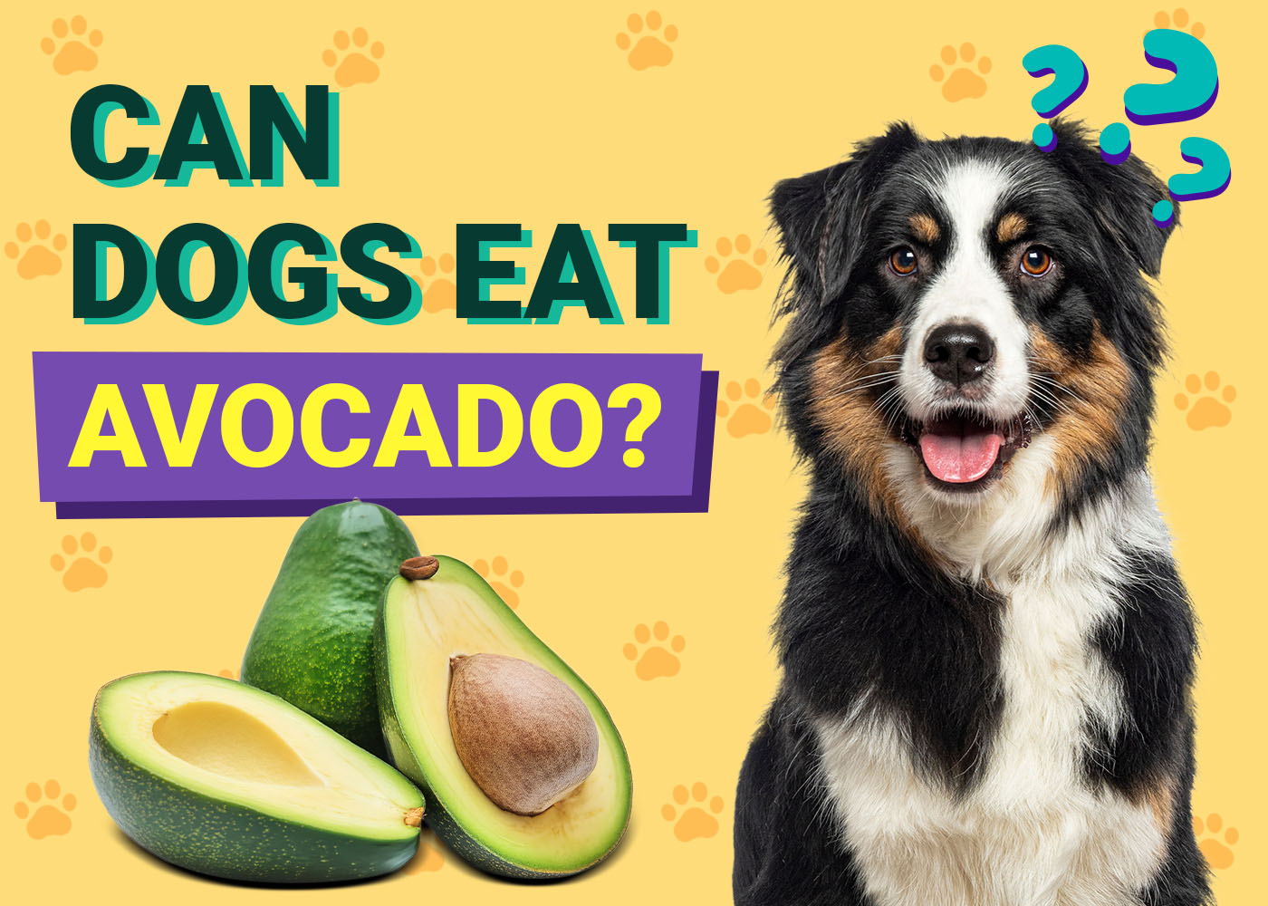 Can Dogs Eat Avocado? Vet-Reviewed Health Concerns
