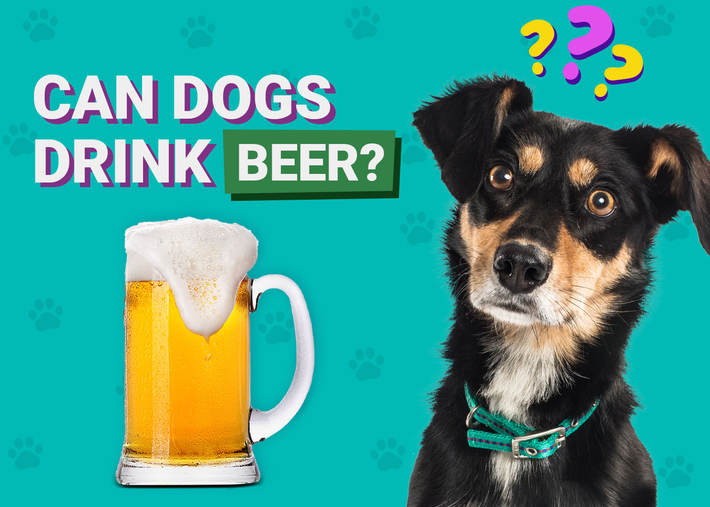 Can Dogs Drink Beer? Vet-Reviewed Health & Safety Considerations