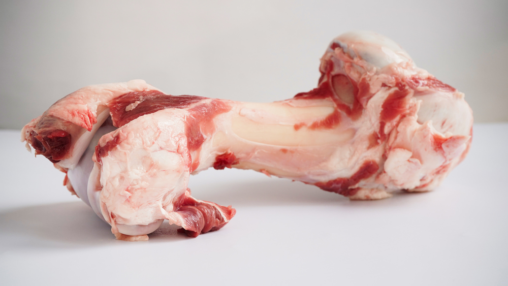Large raw bone