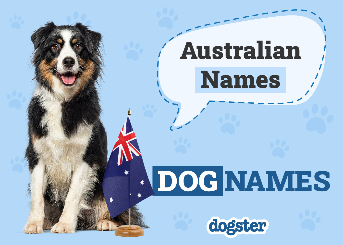 250+ Australian Dog Names: Popular Options From Down Under