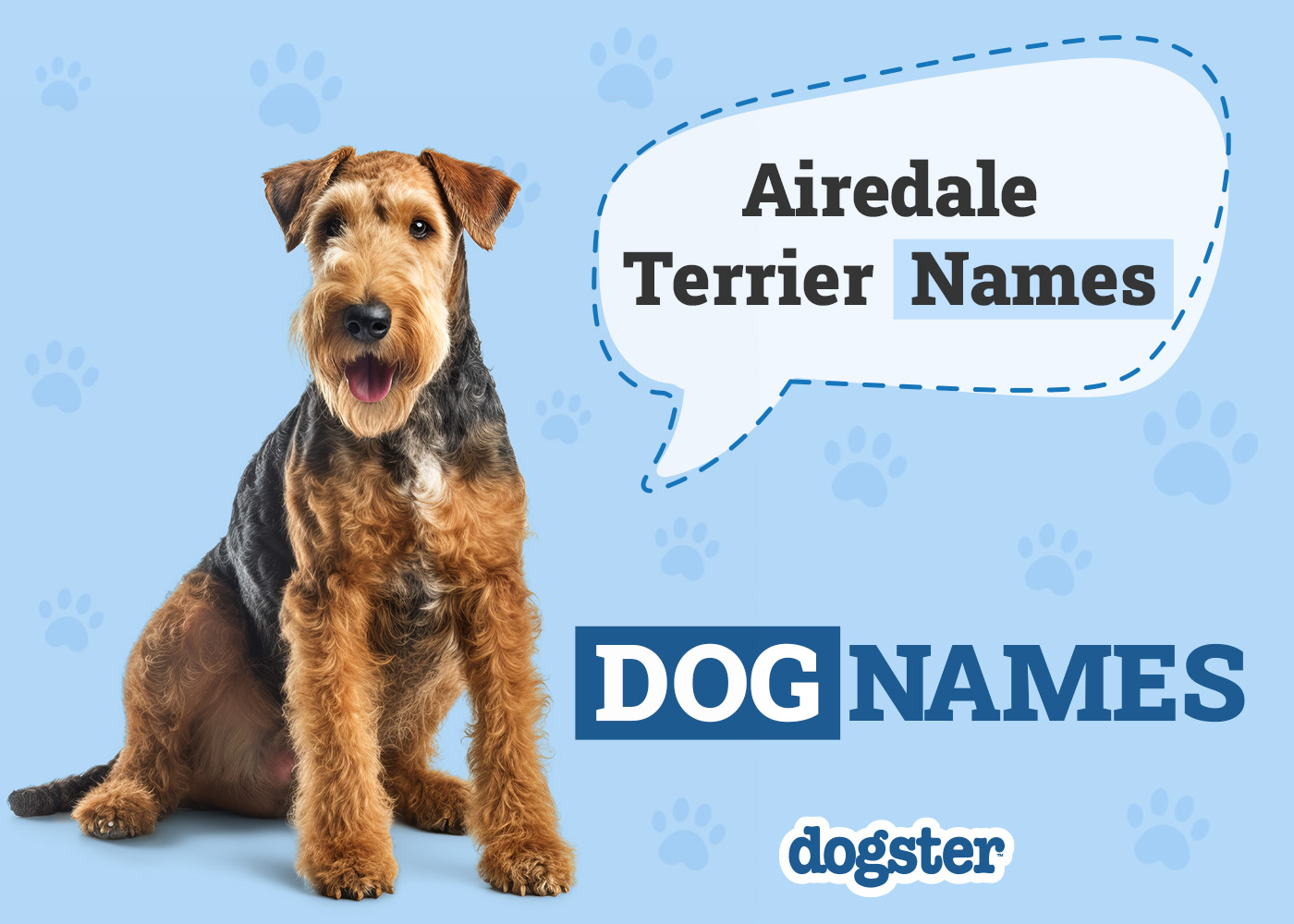 100+ Airedale Terrier Names: Ideas for Classy & Graceful Dogs