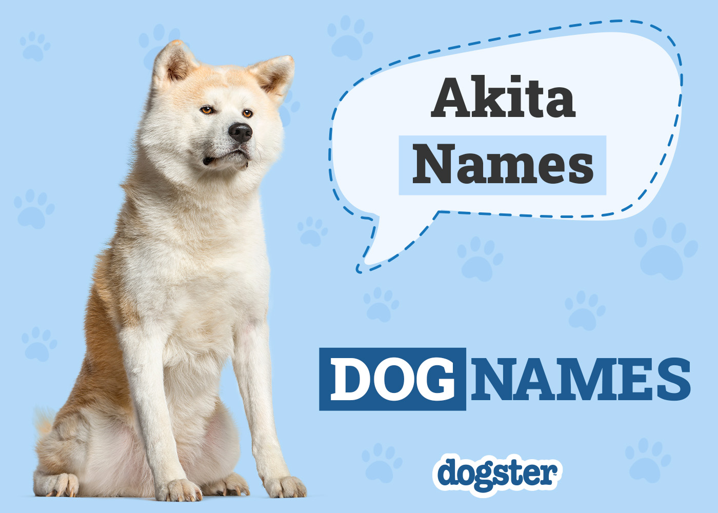 200+ Akita Names: Unique, Cute & Meaningful Ideas