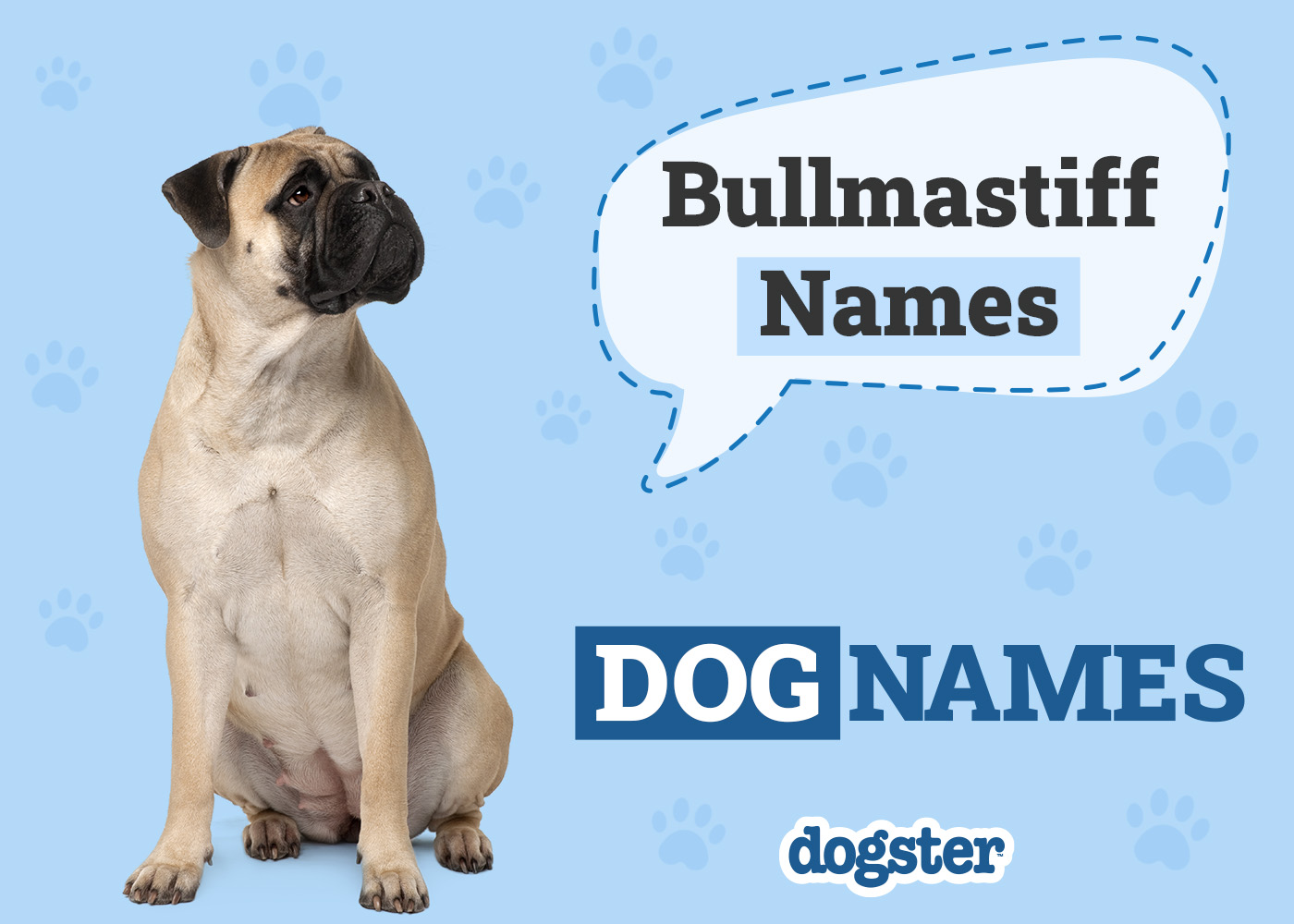 150+ Bullmastiff Names: Tough, Cute & Perfect Ideas for Your Bullmastiff