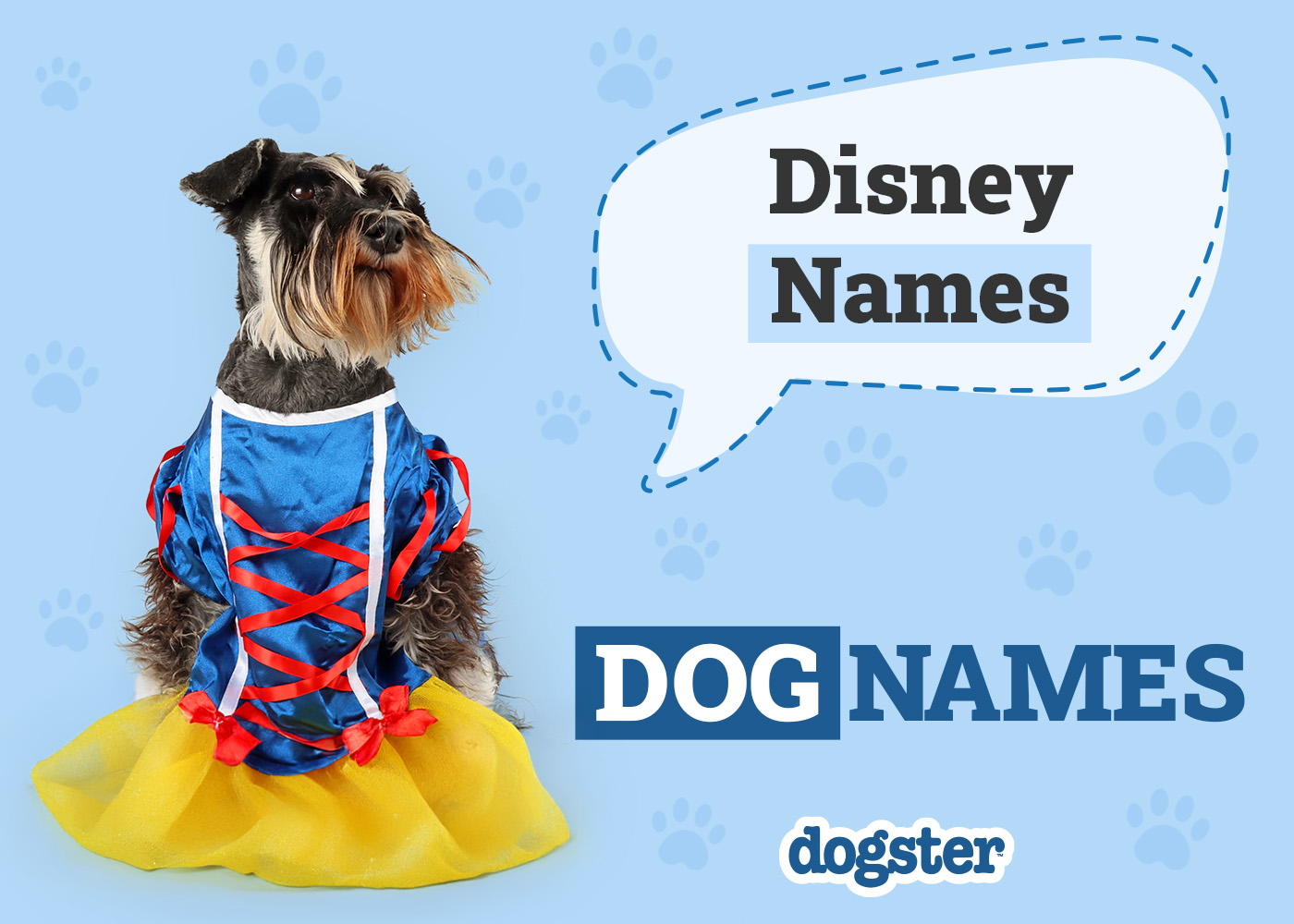 100+ Disney Dog Names: Ideas for Your Enchanting & Magical Pup