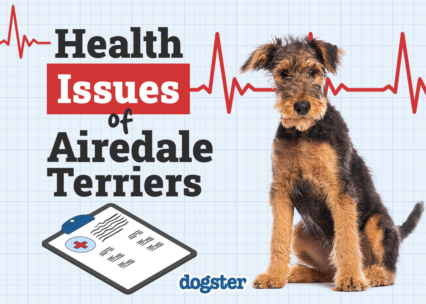Dogster_Health Problems of Airedale Terriers