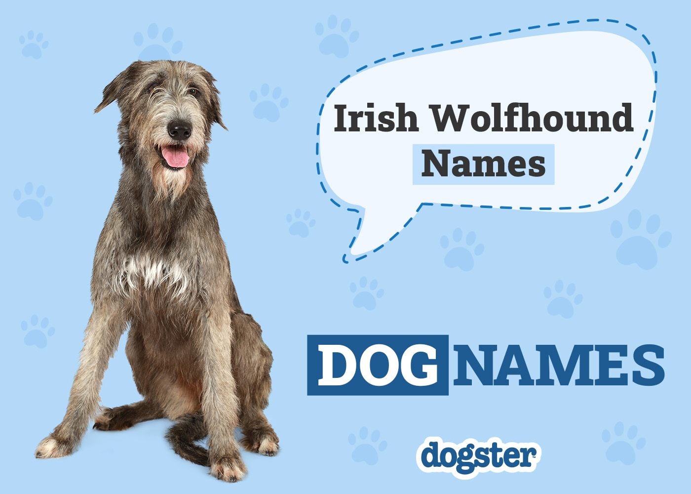 Dogster_Irish Wolfhound Names