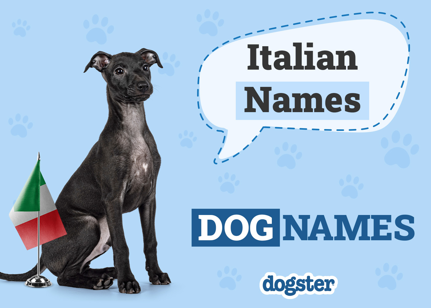 200+ Italian Dog Names: Female & Male Ideas With Meanings