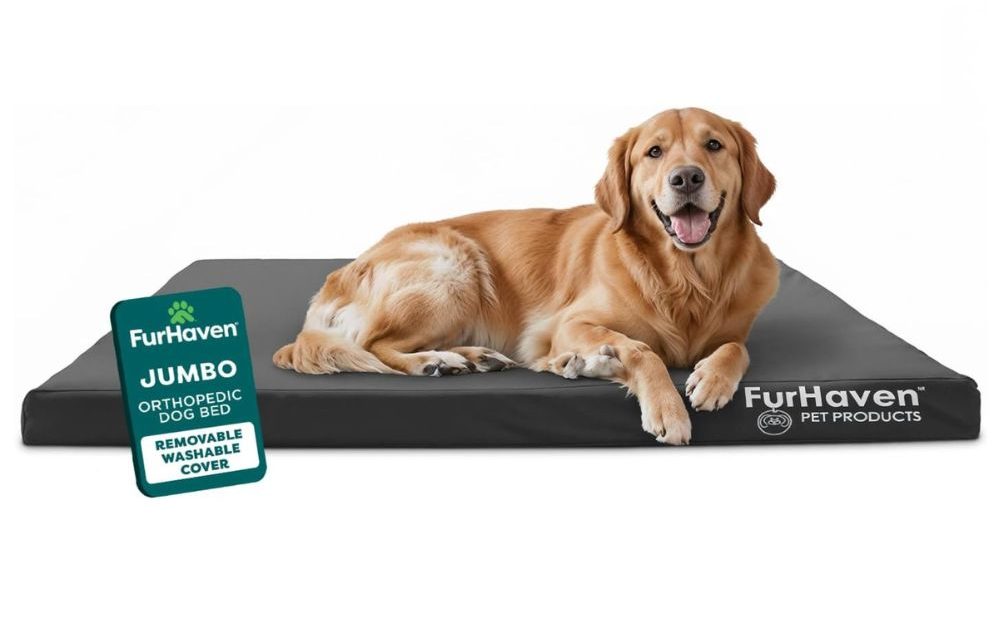 Furhaven Deluxe Oxford Orthopedic Dog Bed