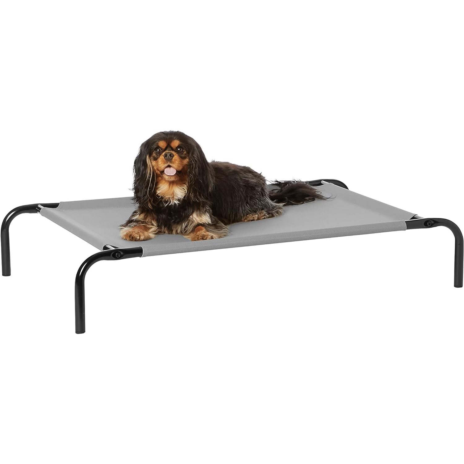 Amazon Basics Cooling Elevated Pet Bed