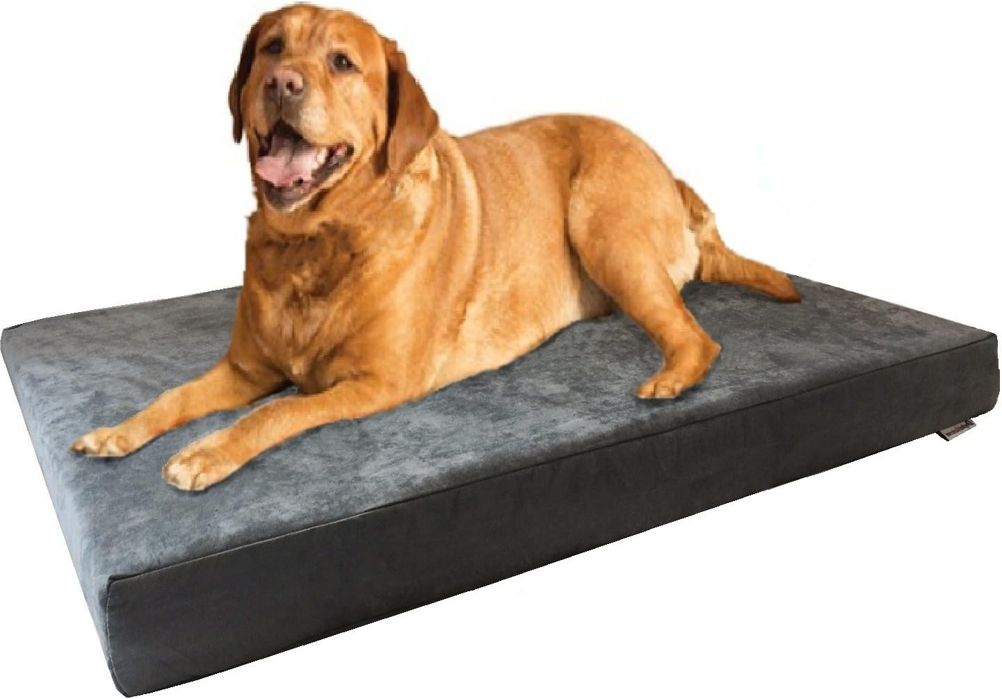 Dogbed4less Memory Foam Dog Bed