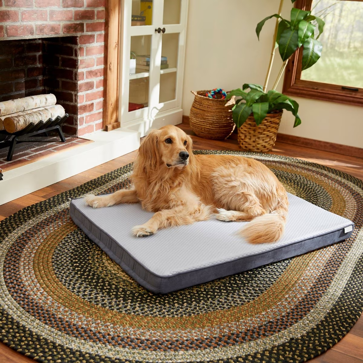 Frisco Cooling Orthopedic Pillow Dog Bed