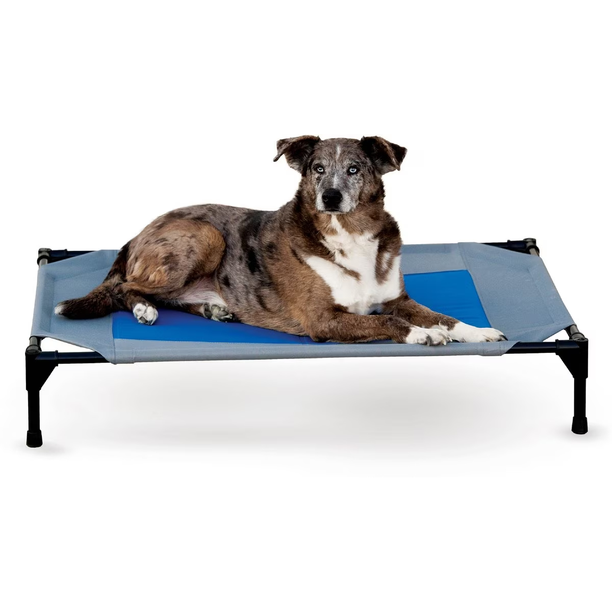 K&H Pet Products Coolin' Cot Elevated Dog Bed