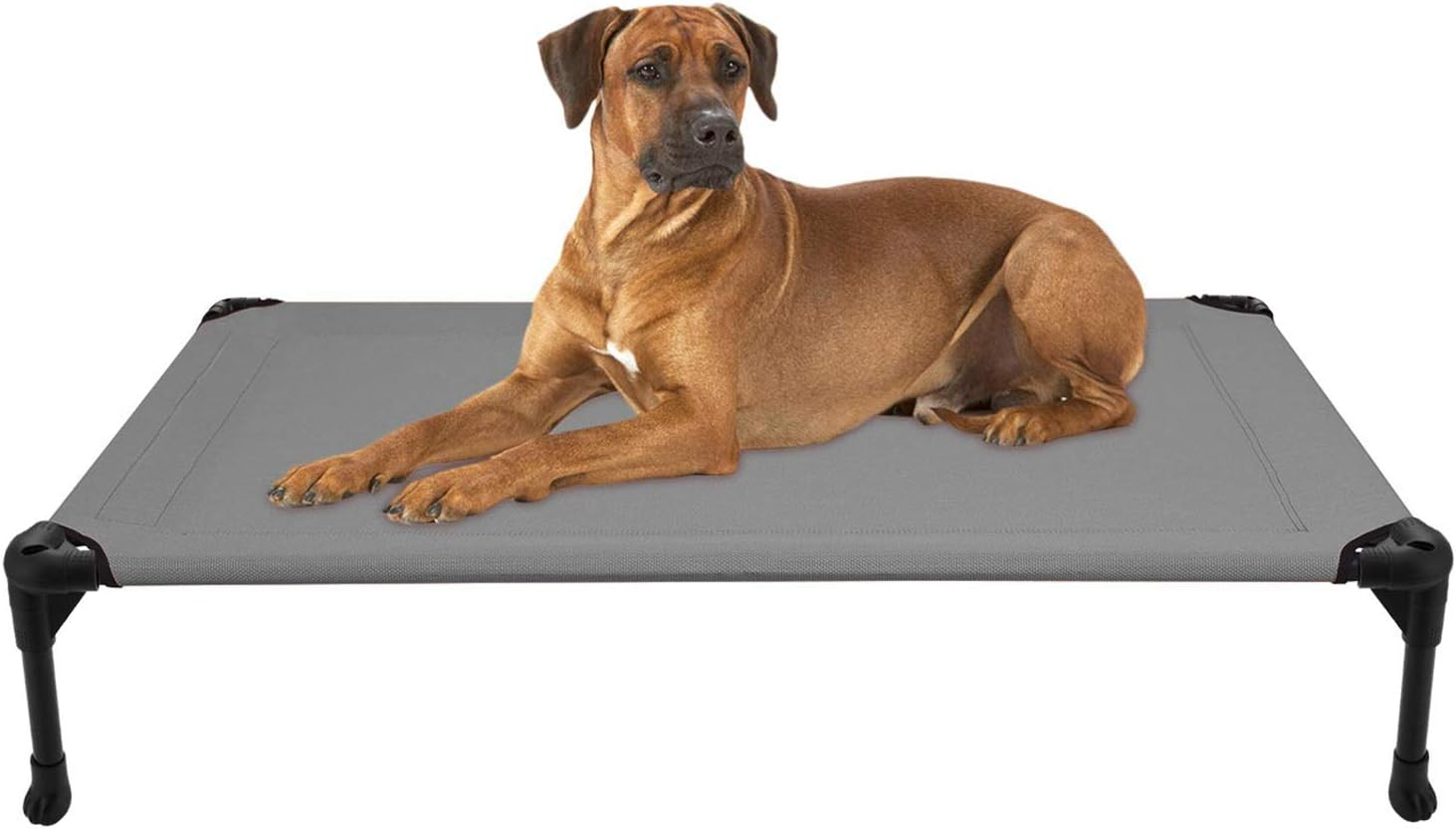 Veehoo Elevated Dog Bed