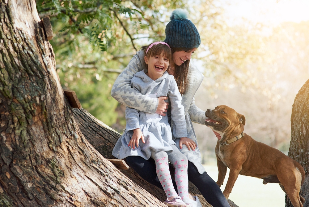 Are Pitbulls Good Family Dogs? Breed Facts & FAQ