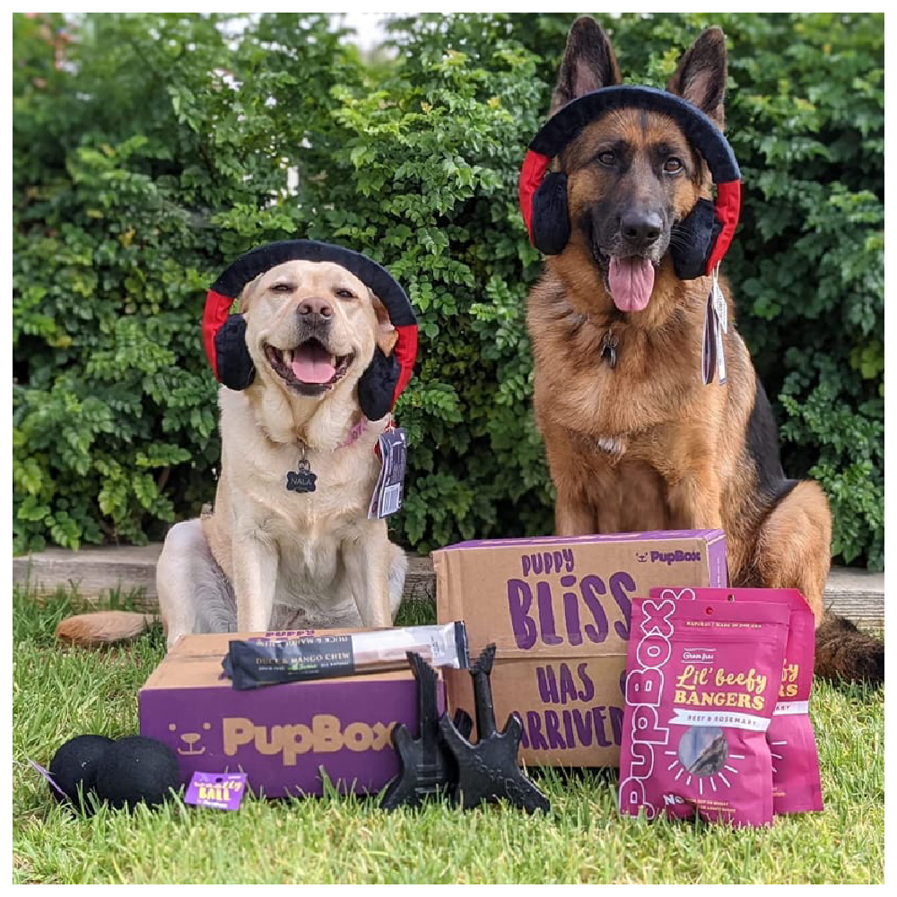 Pupbox Subscription