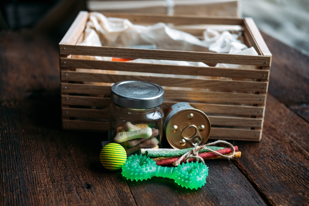 10 Best Dog Subscription Boxes in 2026 - Reviews & Top Picks