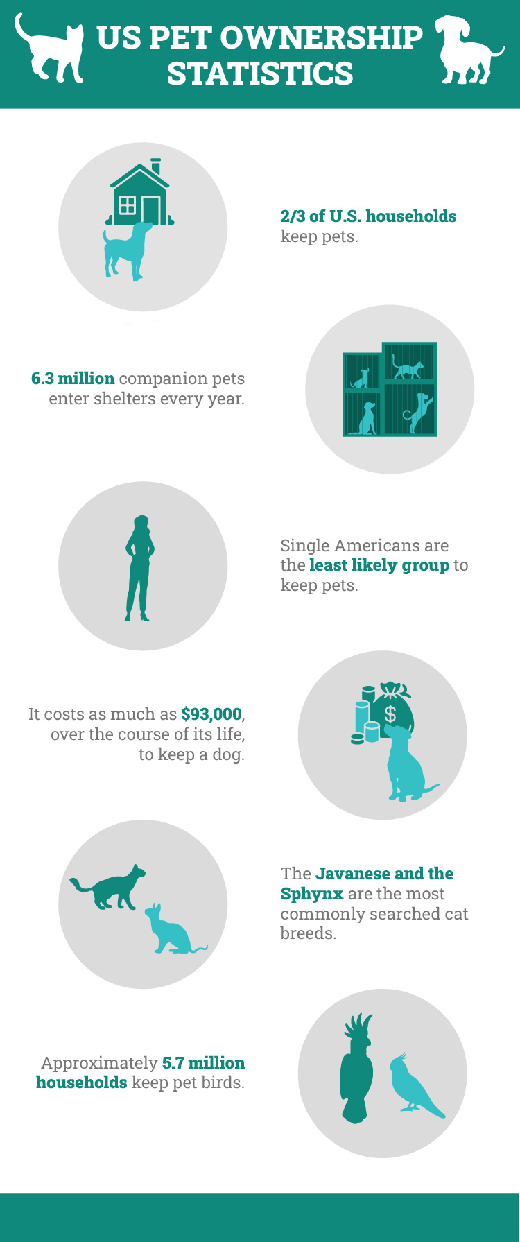 US Pet Ownership