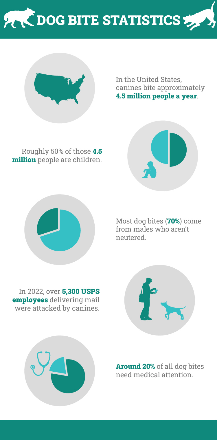 Dog Bite Statistics