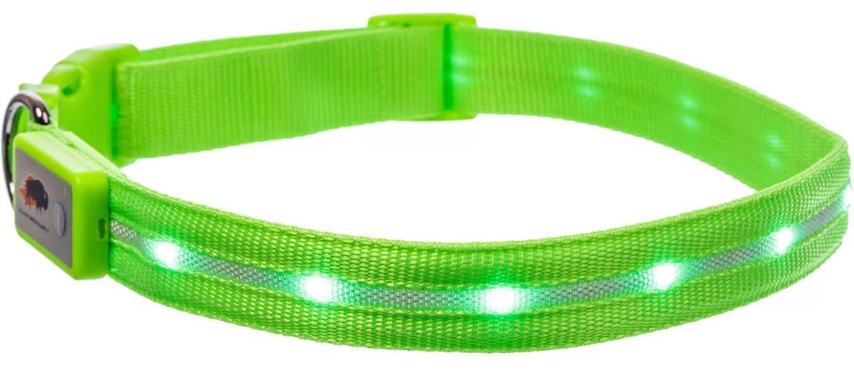 Blazin’ Safety LED Nylon Dog Collar