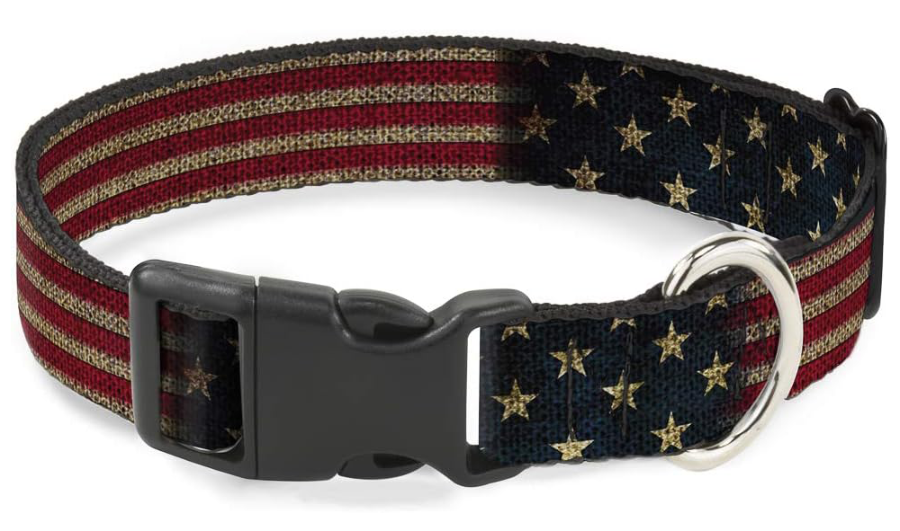 Buckle-Down Personalized Dog Collar