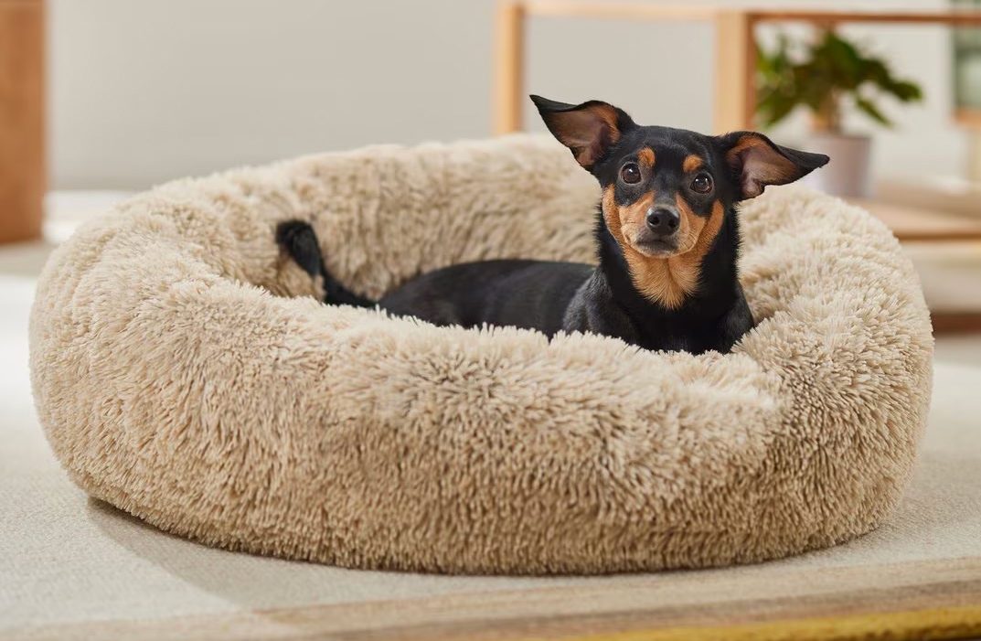 Frisco Eyelash Dog Bolster Bed