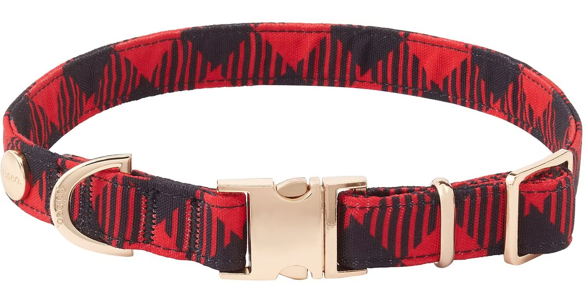 Frisco Fashion Collar 