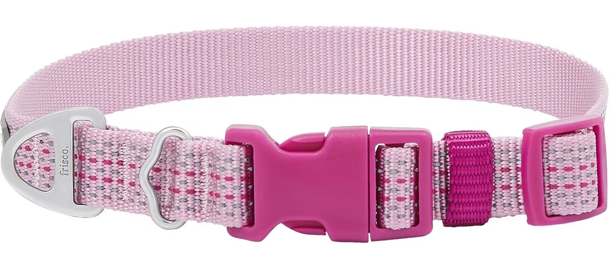 Frisco Outdoor Ultra Reflective Nylon Dog Collar 
