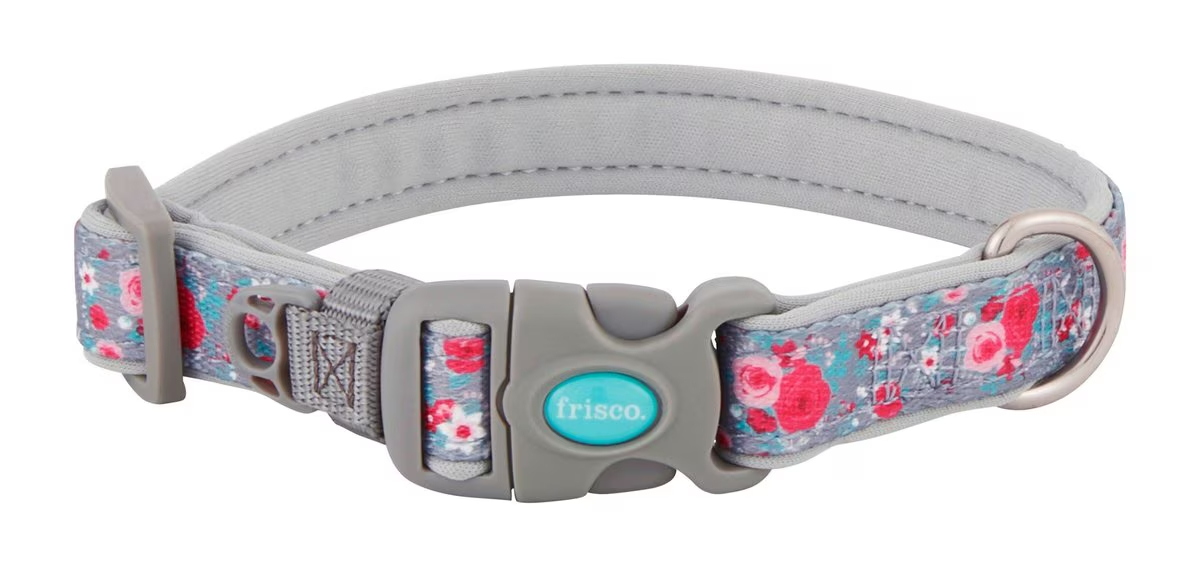 Frisco Patterned Neoprene Dog Collar