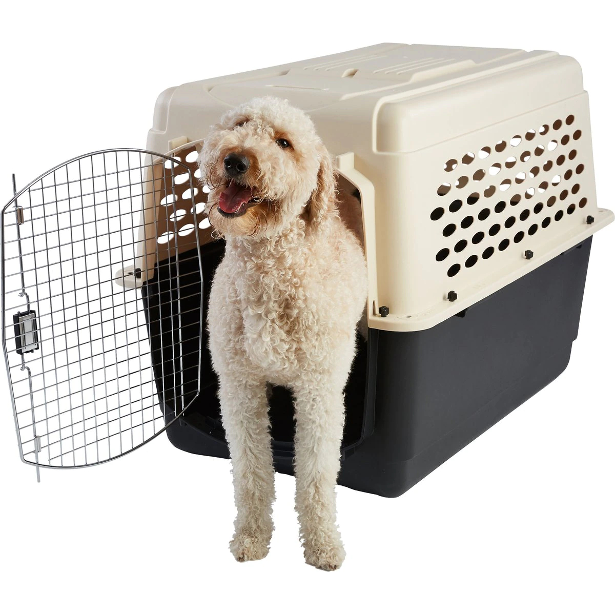 Frisco Plastic Dog & Cat Kennel, Almond & Black